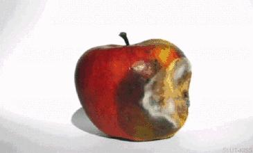 游戏专题 第66页