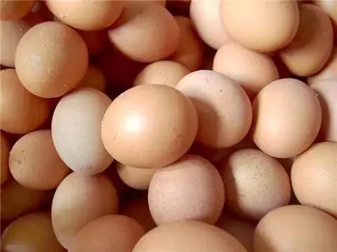 娱乐生活 第57页