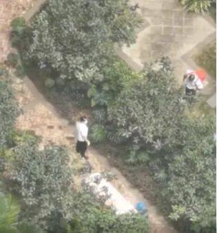 游戏专题 第15页