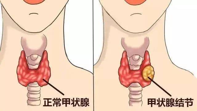 娱乐生活 第14页